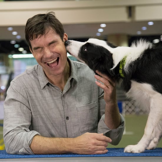 Jerry O'Connell at AKC National Championship Dog Show