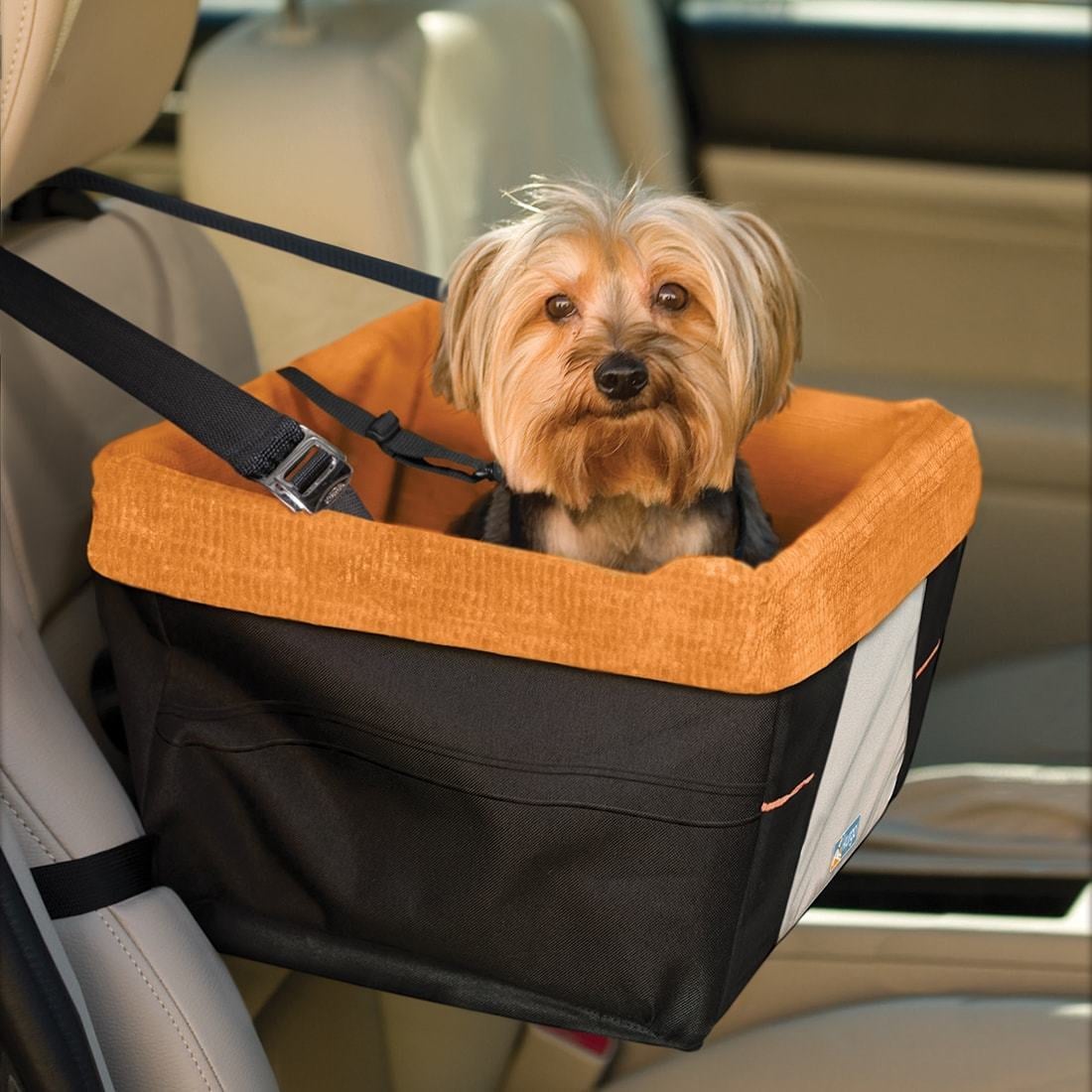 Lot animal transport on sale