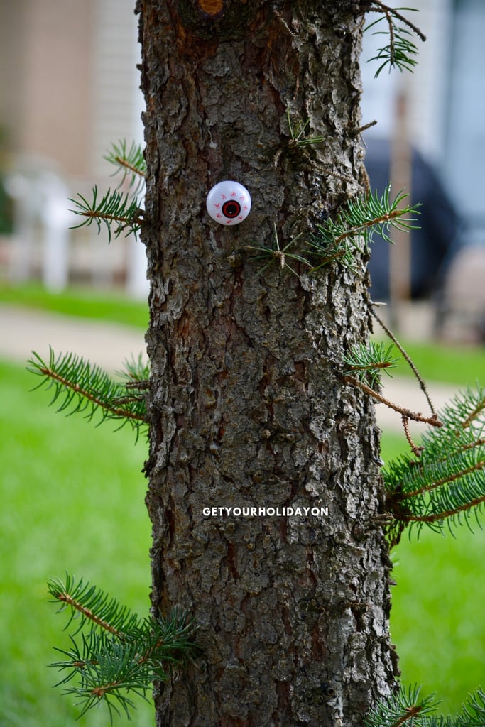 Eyeball Hunt