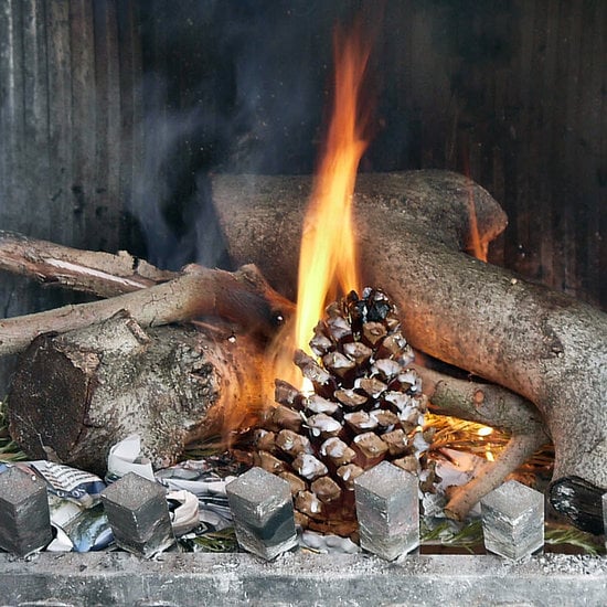 Homemade Pinecone Fire Starter