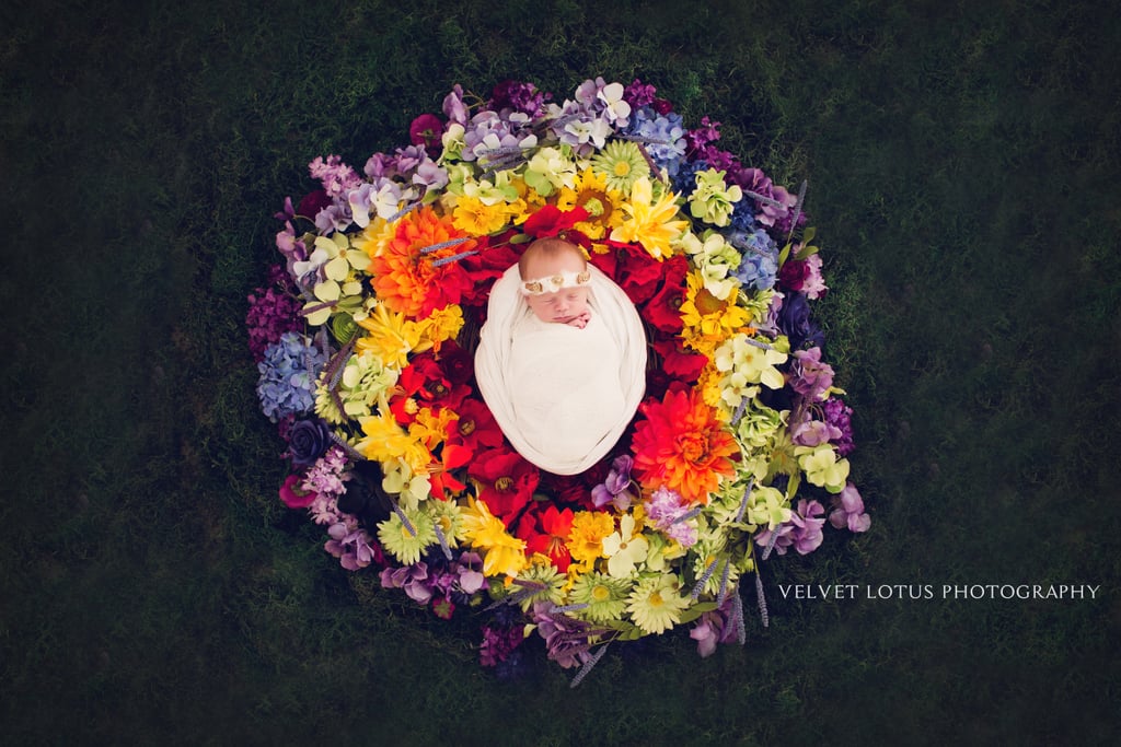 Rainbow Baby Photo Ideas Rainbow Baby Photo Ideas