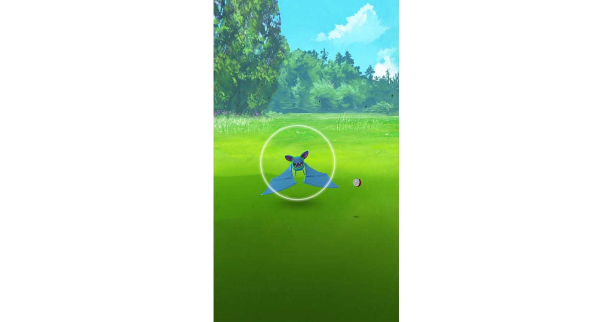 Find out what the different colored rings around the Pokémon mean