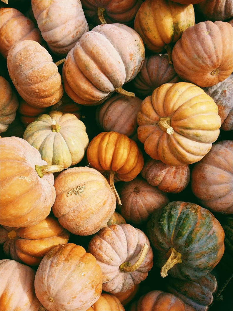 Fall Harvest iPhone Wallpaper