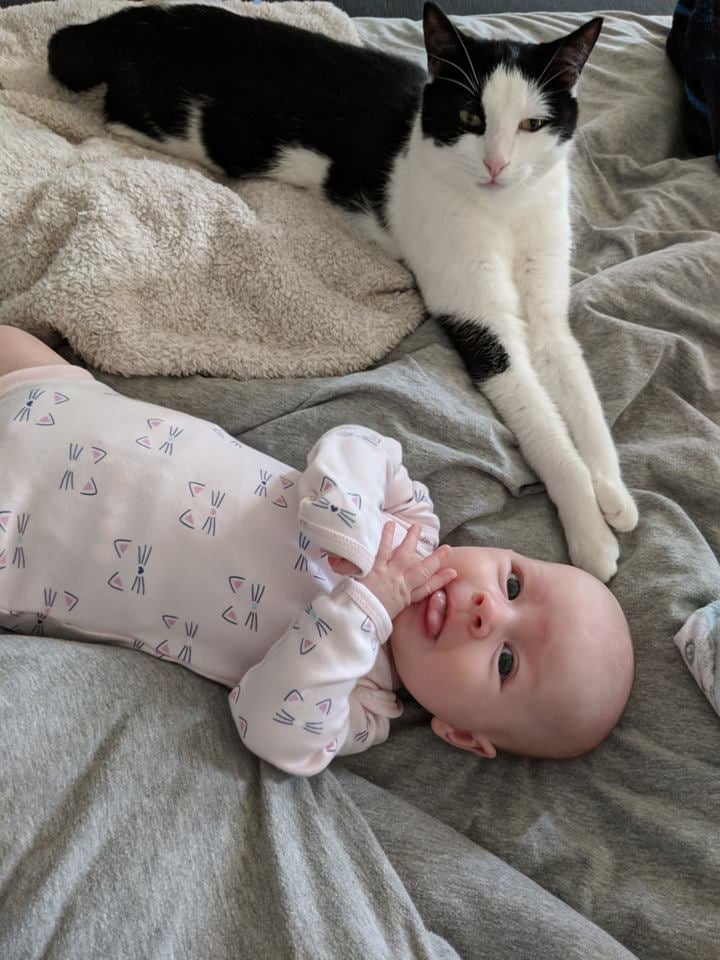 A little mid-afternoon hangout!