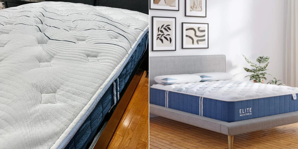Bear Elite Hybrid Mattress Review PS Home