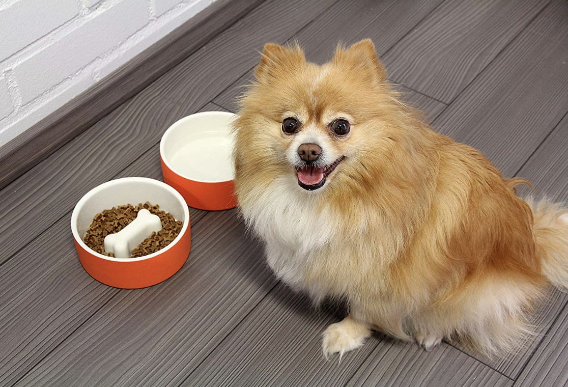 self cooling dog water bowl