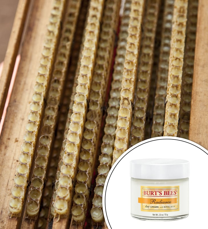 Royal Jelly Royal Jelly