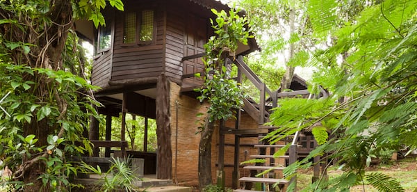 <a href="https://www.airbnb.com/rooms/788235"><b>19. Treehouse - Chiang Mai, Thailand</b></a>