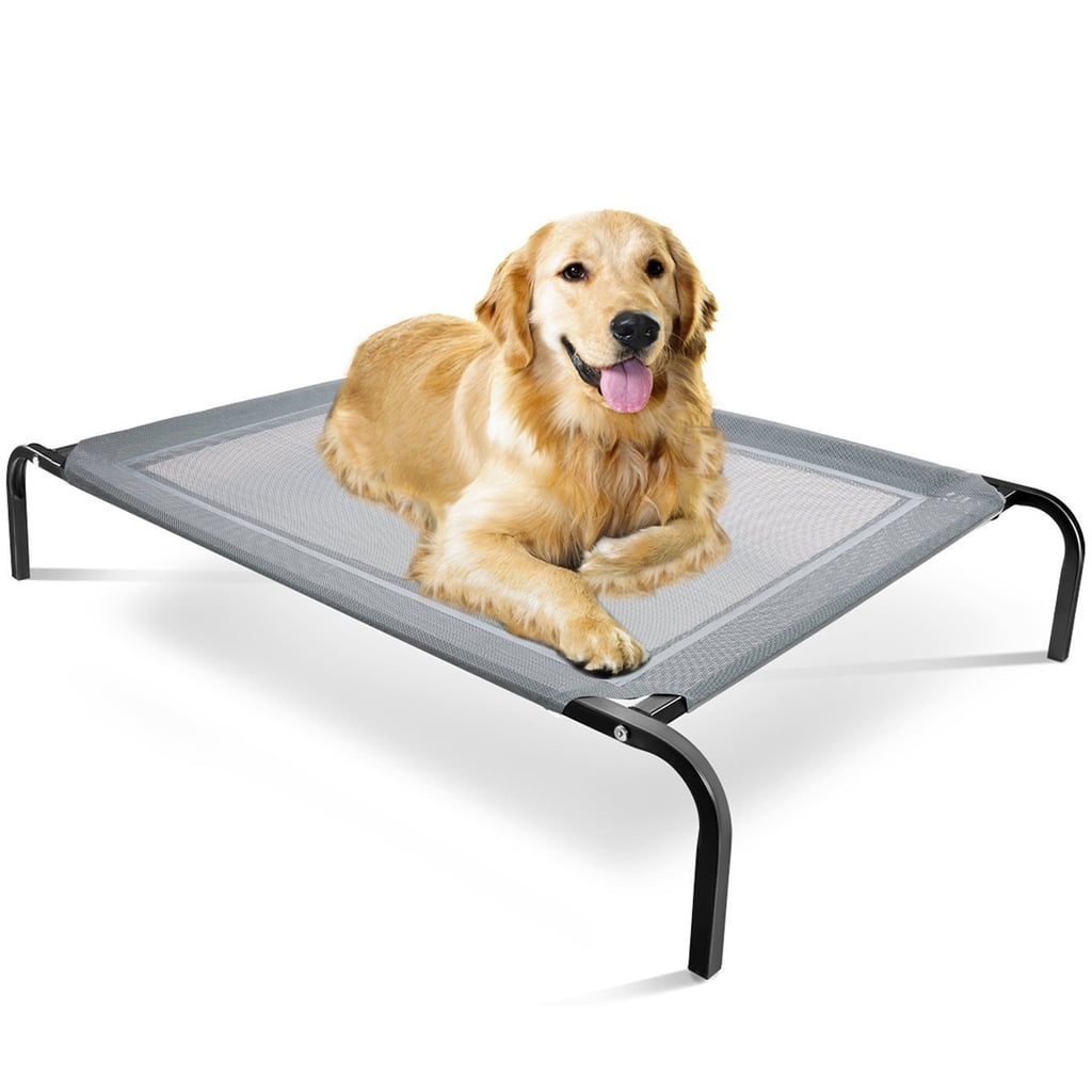 Paws & Pals Steel-Framed Elevated Pet Bed