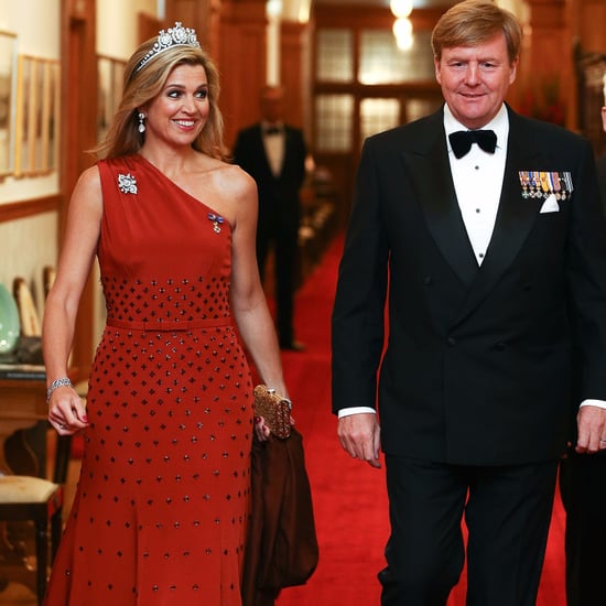 Queen Maxima's Claes Iversen Dress November 2016