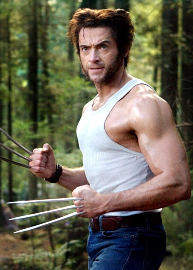 Wolverine From X-Men: Days of Future Past