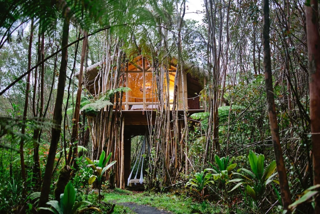 Fern Forest, HI
