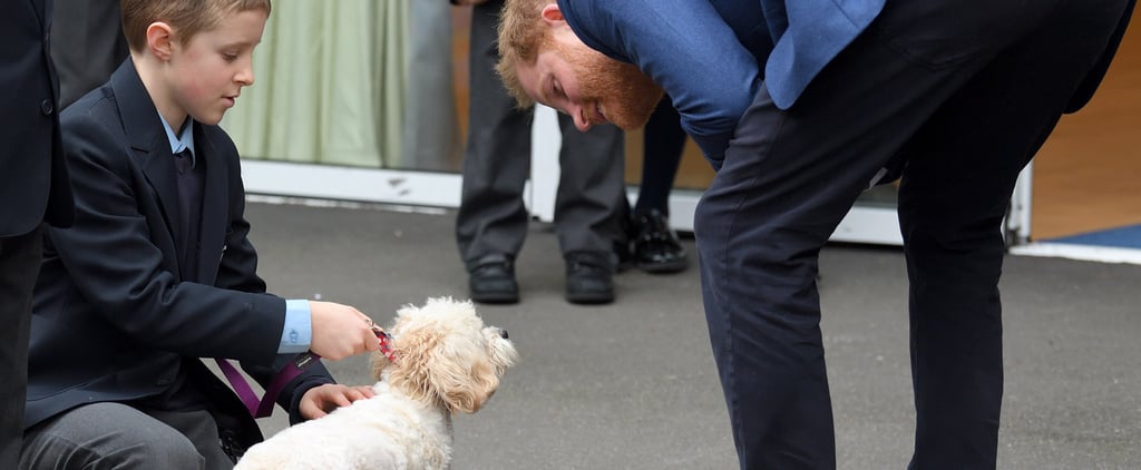 Prince Harry at St. Vincent's Catholic Primary School 2019