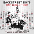 The Backstreet Boys Are Going on Tour, and They're Bringing This 1 Special Guest With Them