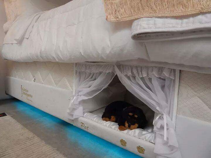 Dog bed with built in cover new arrivals