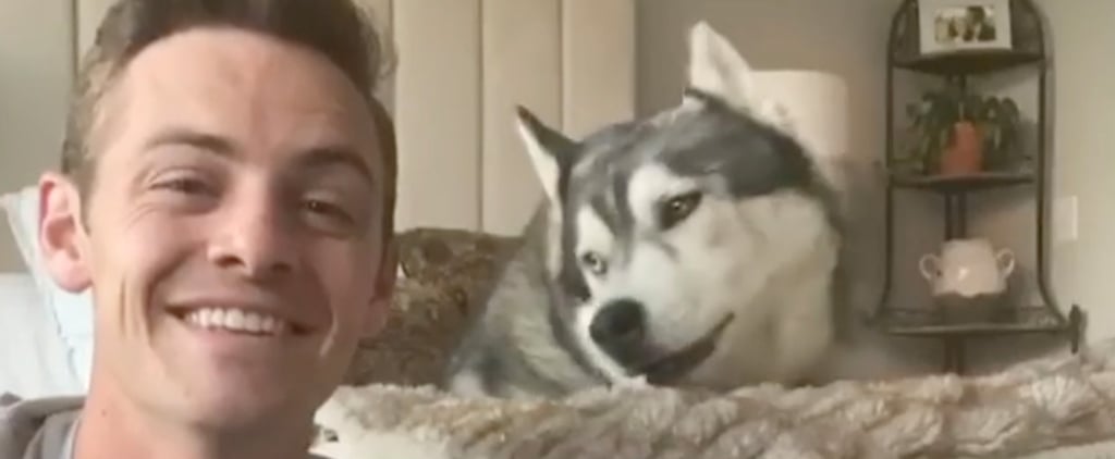 Hospital Worker Harmonizes With Husky For "Lean on Me" Cover