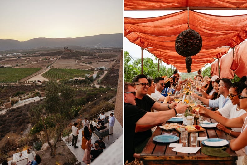 Group Creative Reset Valle de Guadalupe