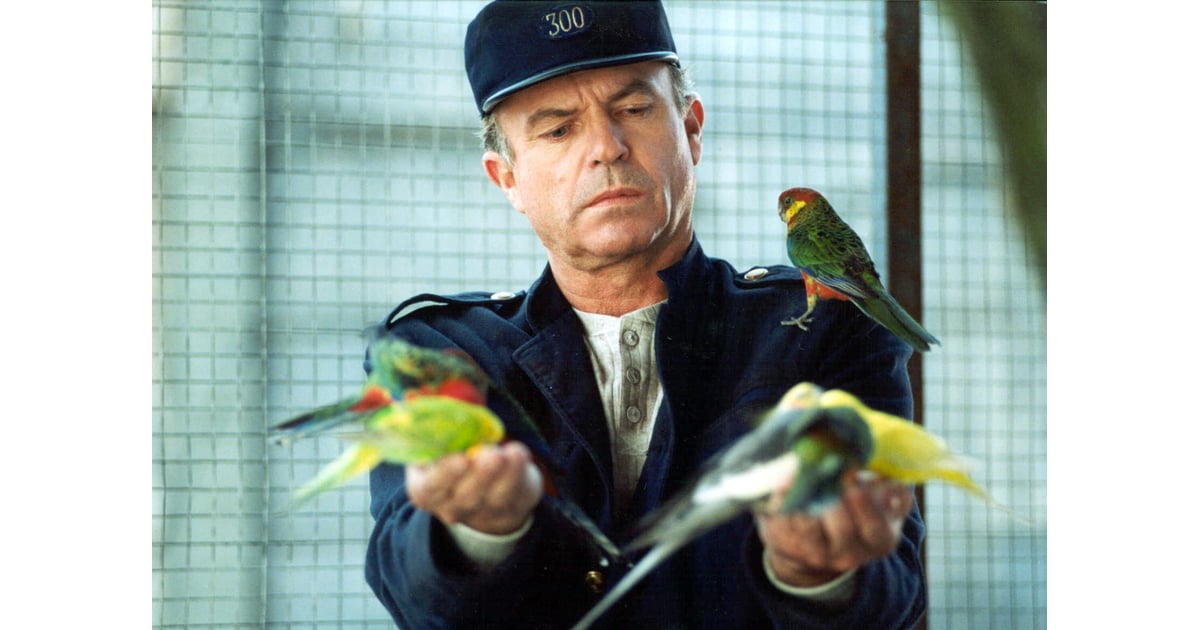 The Zookeeper | New Movies and TV Shows on Netflix June ...