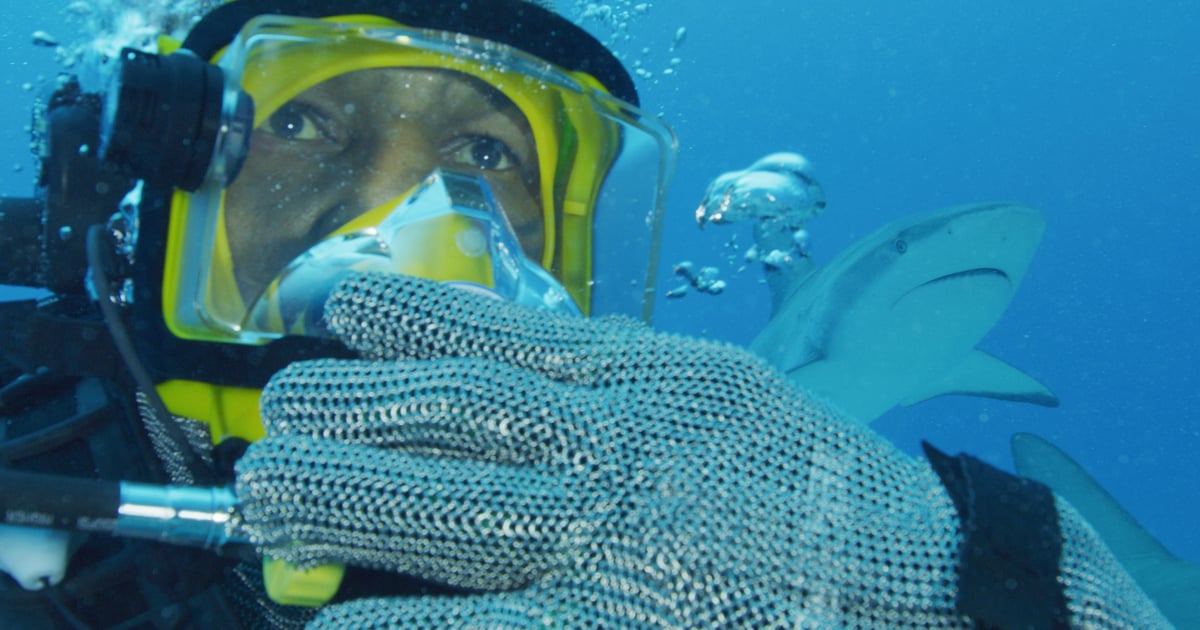 Shark week schedule 2020 popsugar entertainment