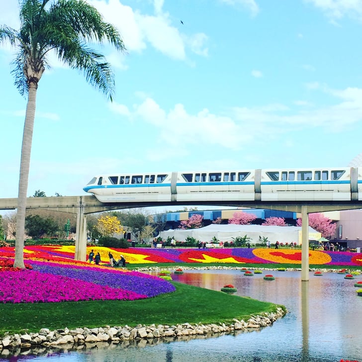 Ride the Monorail From Epcot to Magic Kingdom and Back Things to Do
