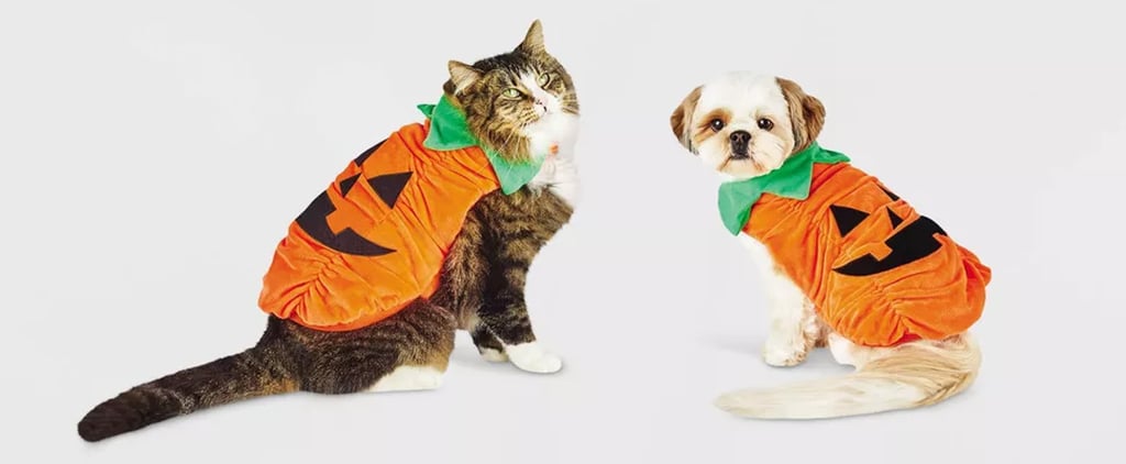 The Best Halloween Costumes For Pets