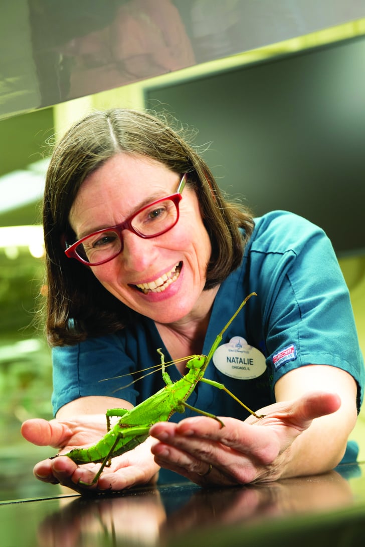 Veterinarian 14 of the Most Unique Jobs at Disney Parks POPSUGAR