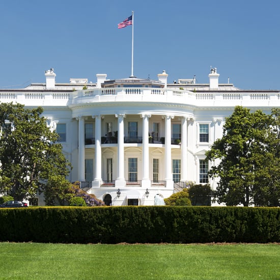 White House Lifts Social Media Ban