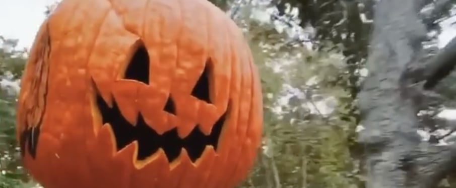 Halloween Version of Viral Fleetwood Mac TikTok Video