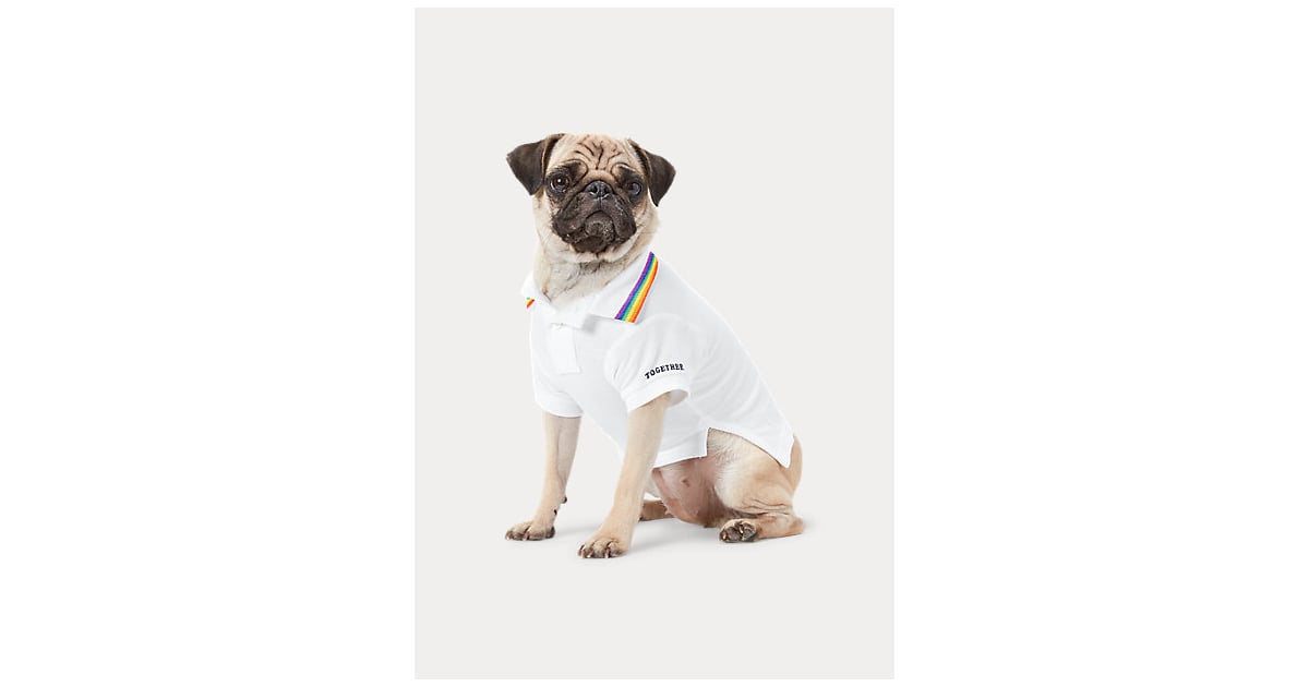 Ralph Lauren Pride Dog Polo Shirt | Pride May Look a Little Different This  Year, but That's Even More Reason to Dress Up | POPSUGAR Fashion Photo 10