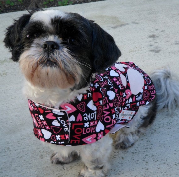 reversible dog jacket