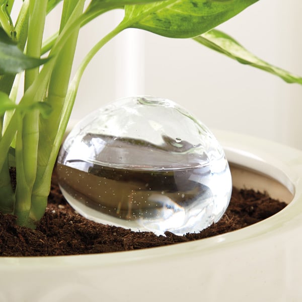 Water From a Stone Self-Watering Globe
