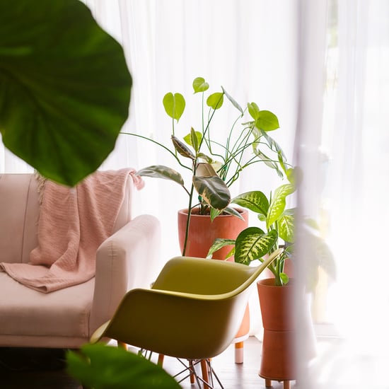 Easy Home Reset Ideas From Experts
