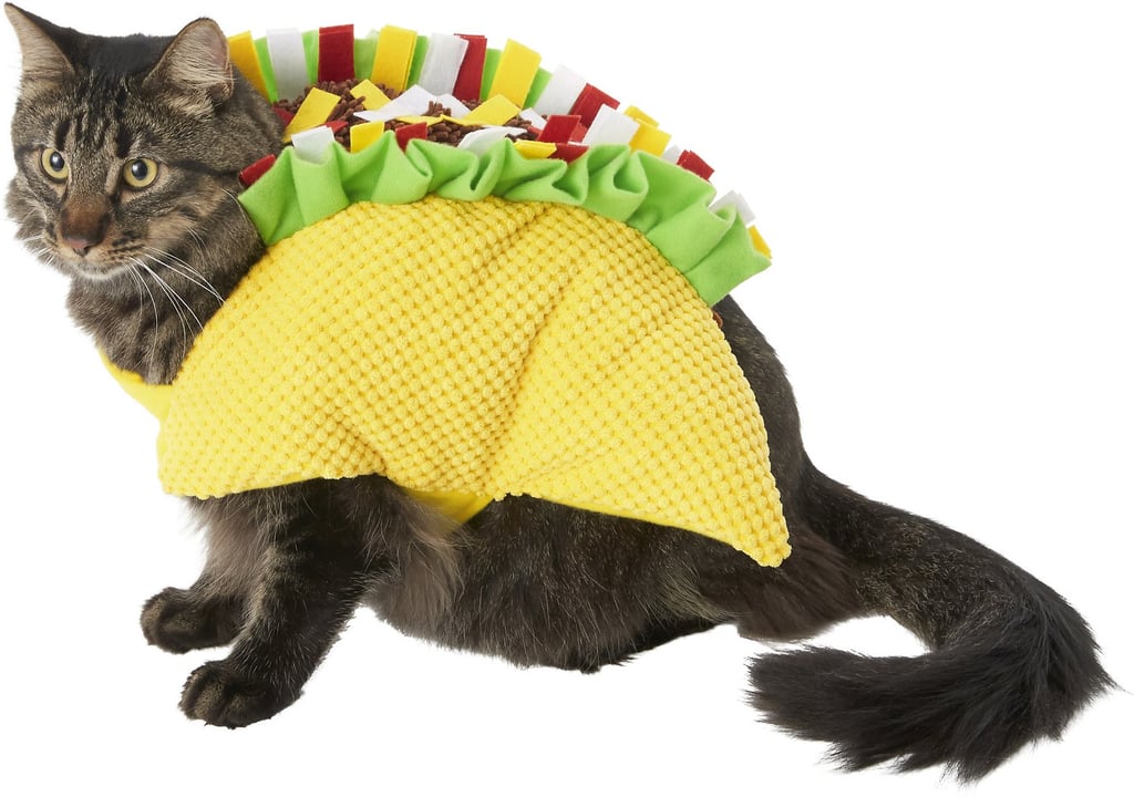 fish taco cat toy