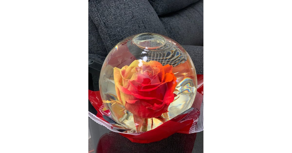 Authentic Rose Globe Where to Buy Rose Globes For Valentine's Day