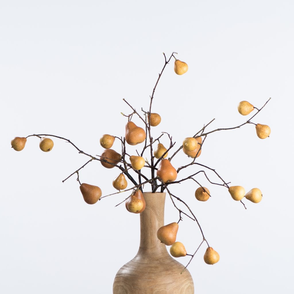 Autumn Pear Stem