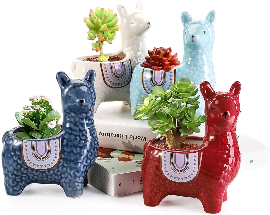 Peohud 4-Pack Llama Succulent Planter Pots