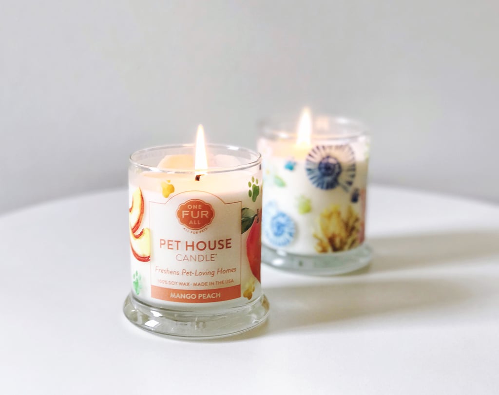 One Fur All Pet House Candle Review POPSUGAR Home