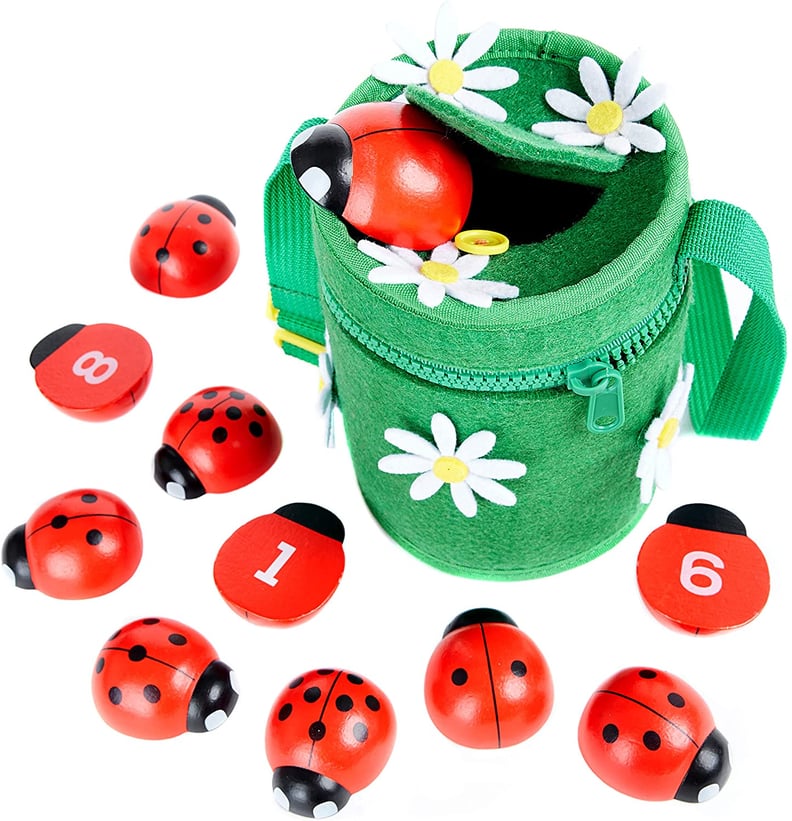 Counting Ladybugs