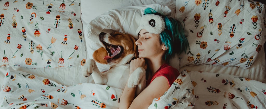 Should I Let My Dog Sleep in My Bed?