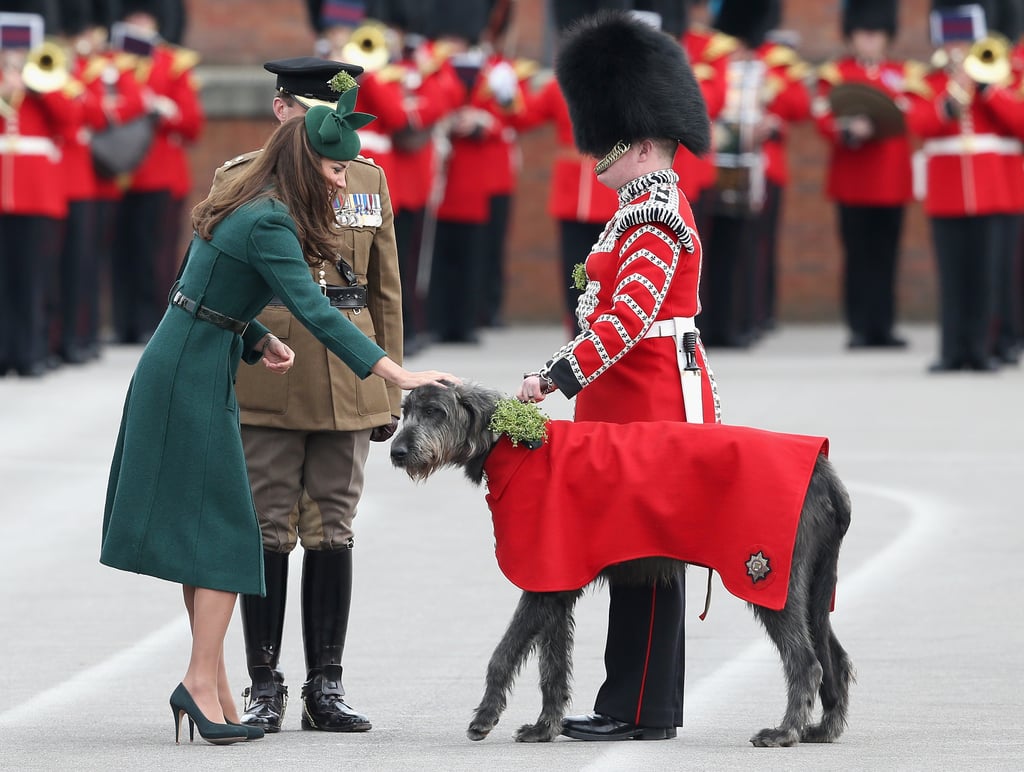 Kate awarded shamrocks to the Irish Guard's Wolfhound on St. Patrick's Day in 2014.