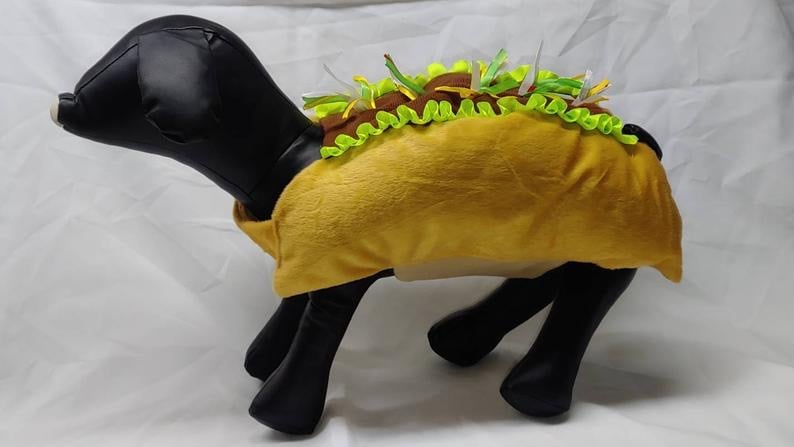 Taco Costume Halloween Costume