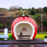 You'll Want Book Flight Japan