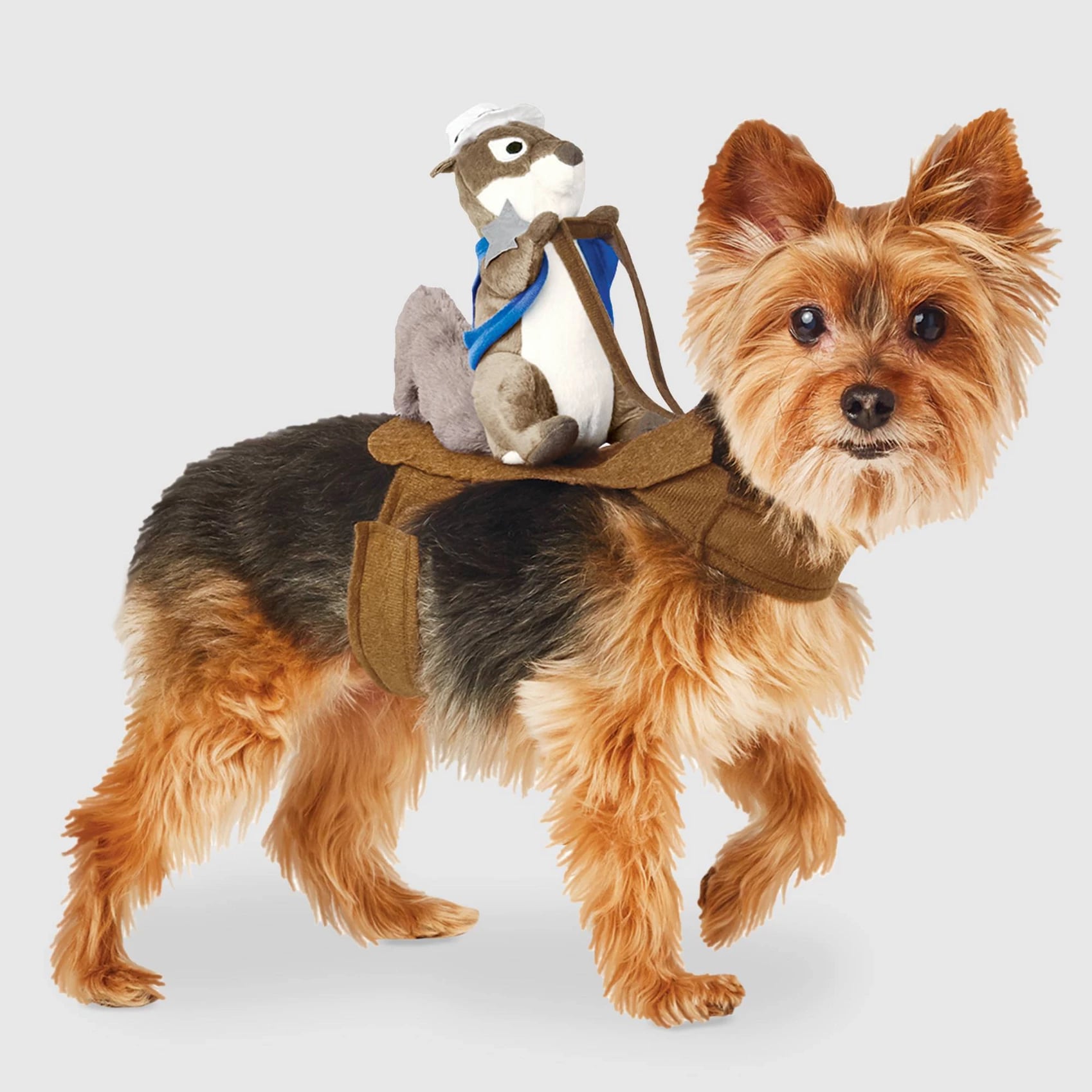 Sheriff Squirrel Rider Dog and Cat