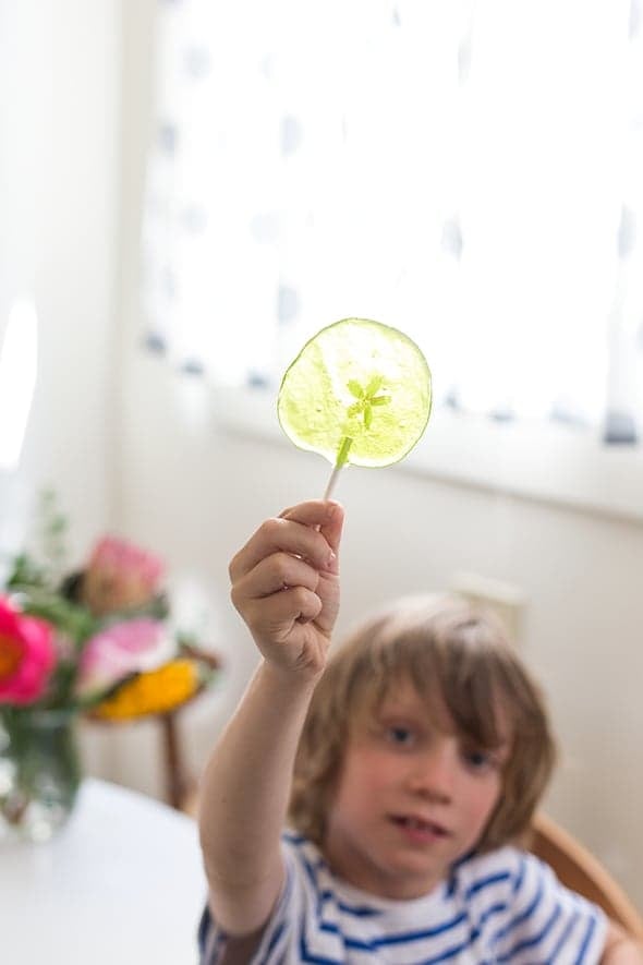 Edible Flower Lollipops