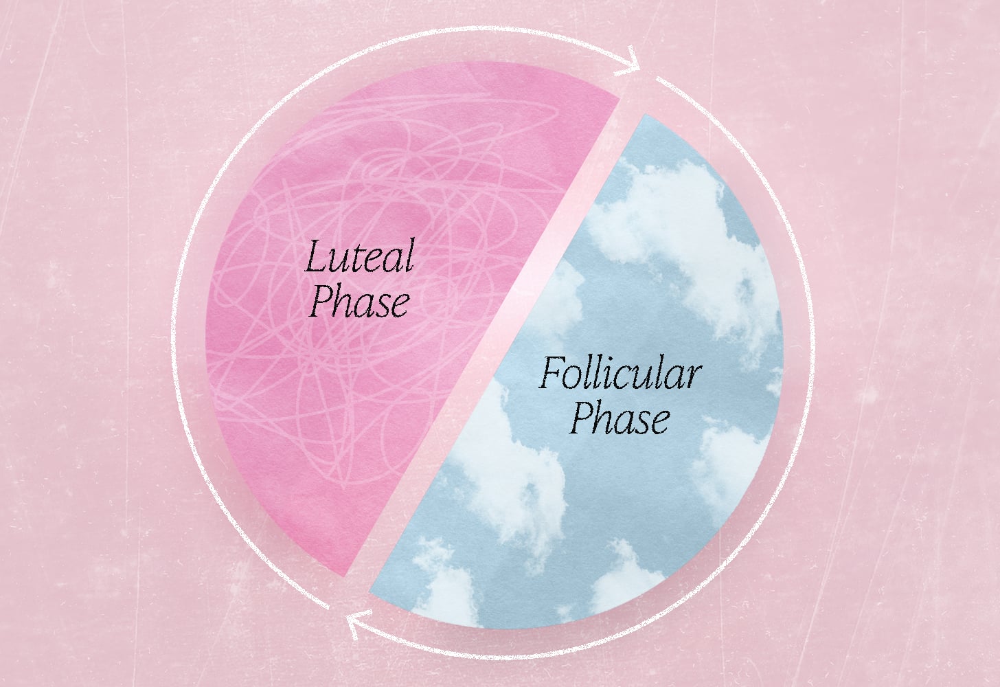 Graphic depiction of the menstrual cycle's main phases