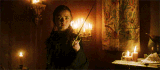 Who's Still Arya's Kill List