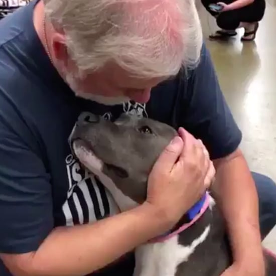 Video of Pit Bull Being Rescued