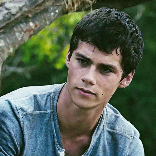 Https Encrypted Tbn0 Gstatic Com Images Q Tbn 3aand9gctseefzq376jrdgmor2kwzf7ohnyv1kqvidiq Usqp Cau