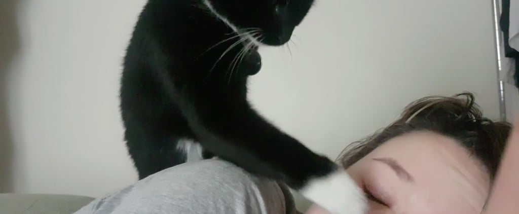 Video of Cat Bopping Her Owner on the Nose to Wake Up