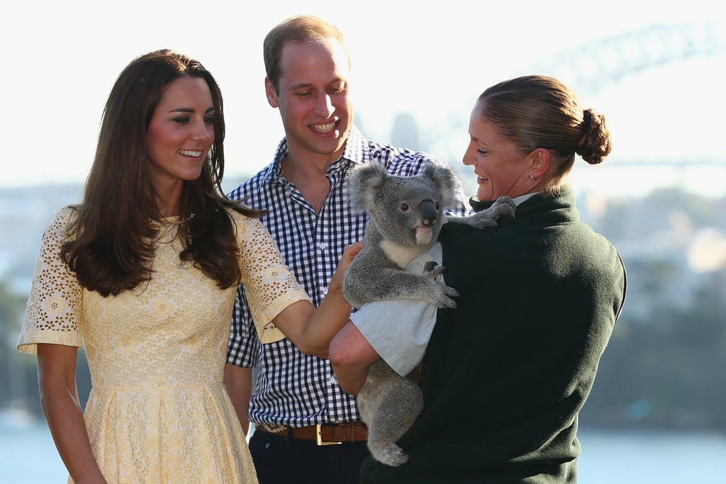 Kate and William met koalas in Sydney in 2014.
